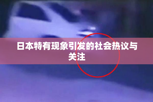 日本特有现象引发的社会热议与关注