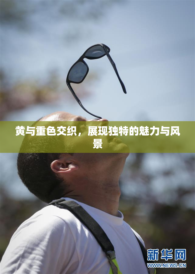 黄与重色交织，展现独特的魅力与风景