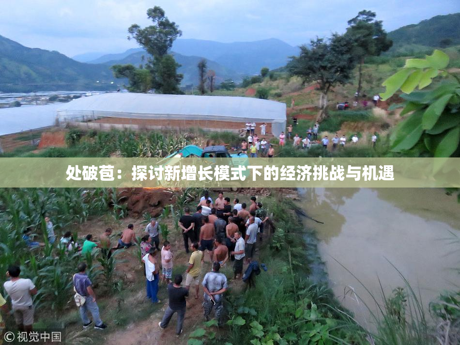 处破苞：探讨新增长模式下的经济挑战与机遇