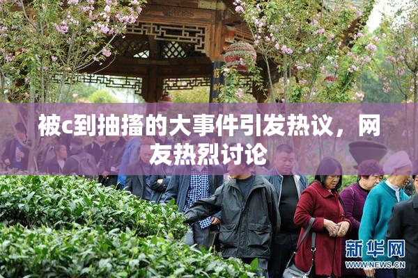 被c到抽搐的大事件引发热议，网友热烈讨论