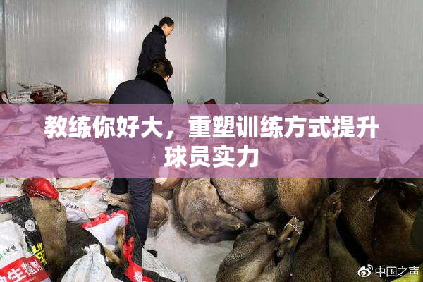 教练你好大，重塑训练方式提升球员实力