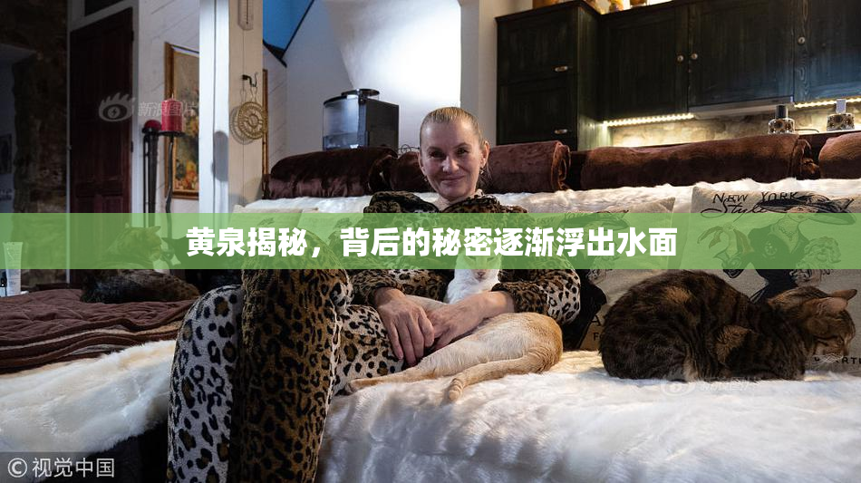 黄泉揭秘，背后的秘密逐渐浮出水面