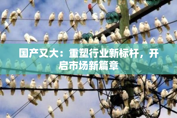 国产又大：重塑行业新标杆，开启市场新篇章