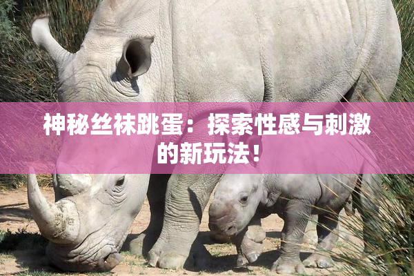 神秘丝袜跳蛋：探索性感与刺激的新玩法！