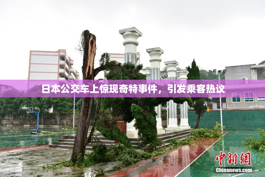 日本公交车上惊现奇特事件，引发乘客热议