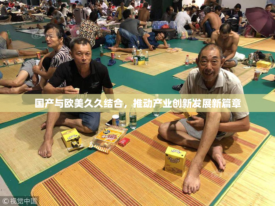 国产与欧美久久结合，推动产业创新发展新篇章