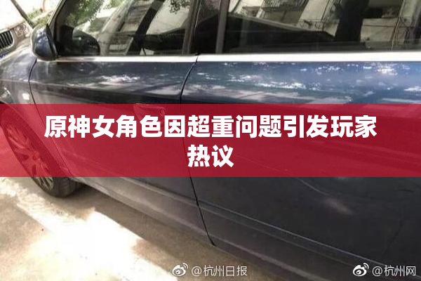 原神女角色因超重问题引发玩家热议