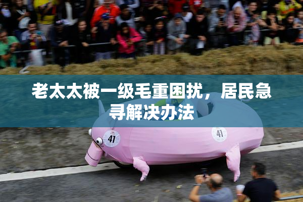 老太太被一级毛重困扰，居民急寻解决办法