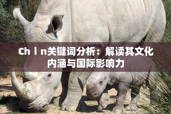 Chⅰn关键词分析：解读其文化内涵与国际影响力