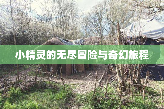 小精灵的无尽冒险与奇幻旅程