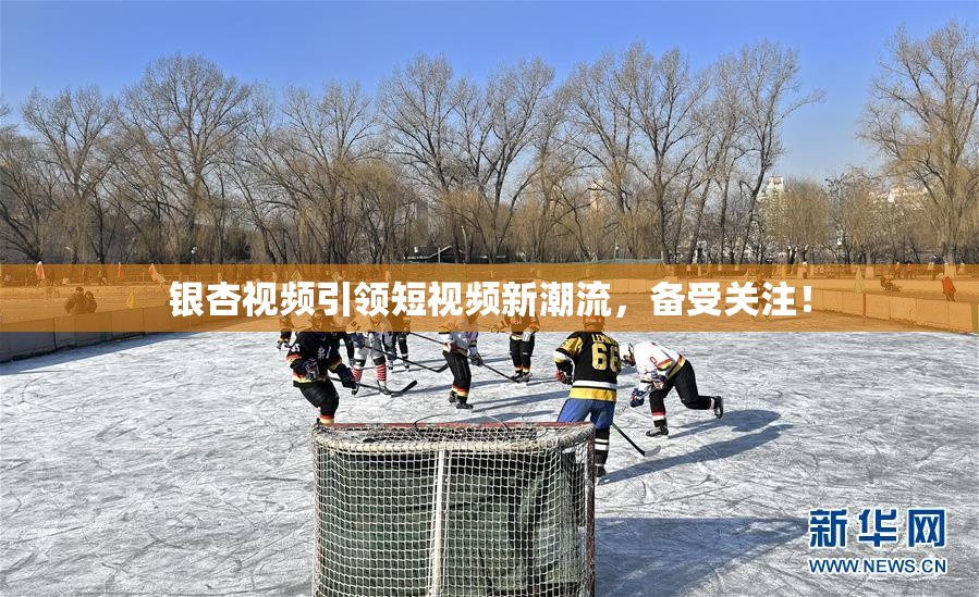 银杏视频引领短视频新潮流，备受关注！