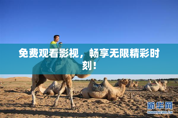 免费观看影视，畅享无限精彩时刻！