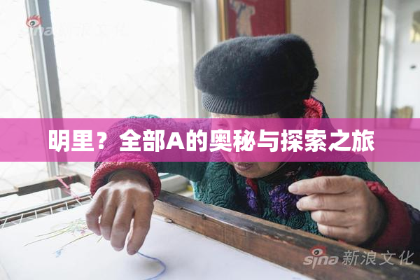 明里？全部A的奥秘与探索之旅