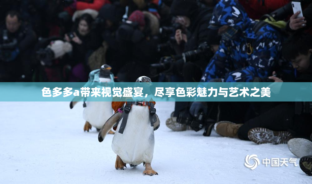 色多多a带来视觉盛宴，尽享色彩魅力与艺术之美