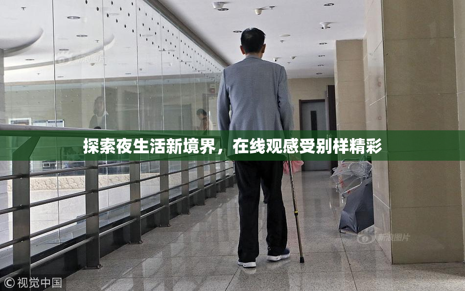 探索夜生活新境界，在线观感受别样精彩
