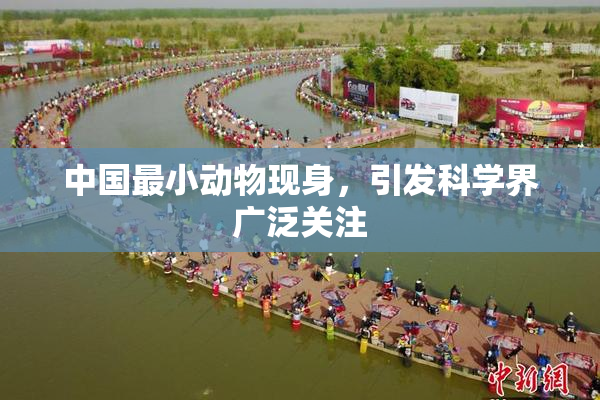 中国最小动物现身，引发科学界广泛关注