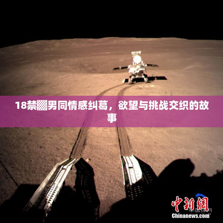 18禁▓男同情感纠葛，欲望与挑战交织的故事