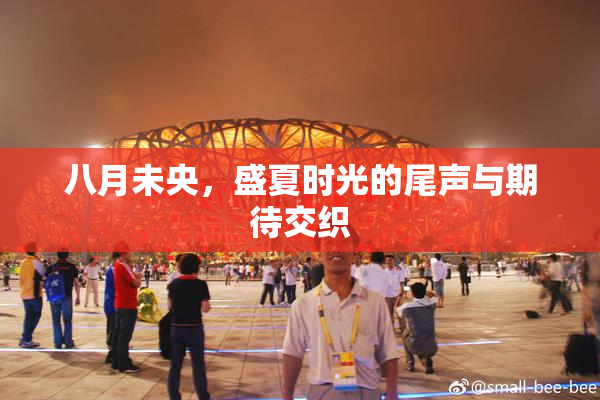 八月未央，盛夏时光的尾声与期待交织