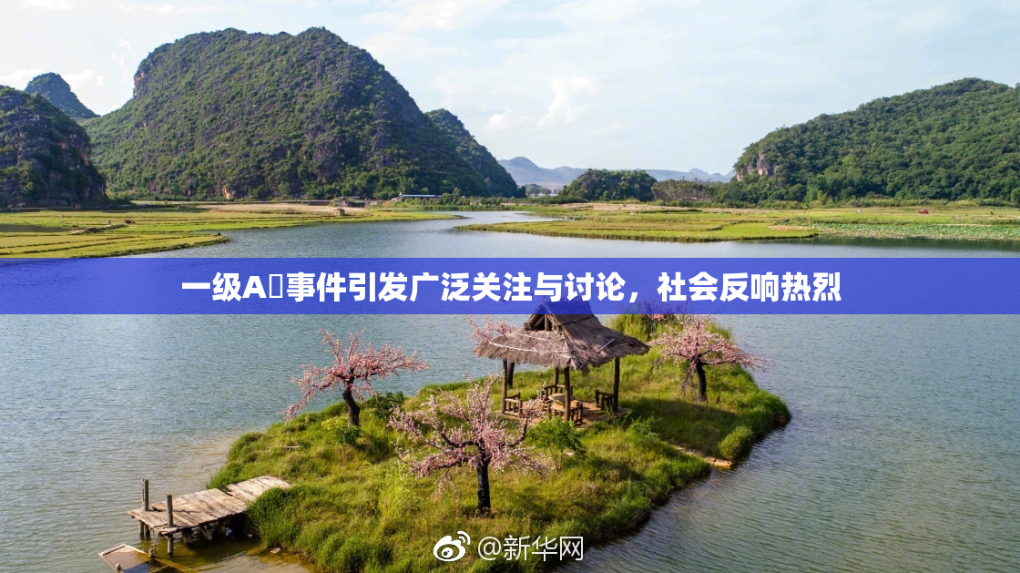 一级A婬事件引发广泛关注与讨论，社会反响热烈