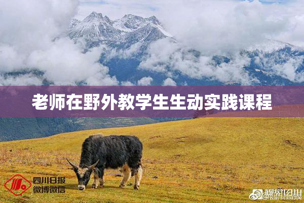老师在野外教学生生动实践课程