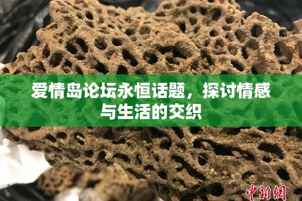 爱情岛论坛永恒话题，探讨情感与生活的交织