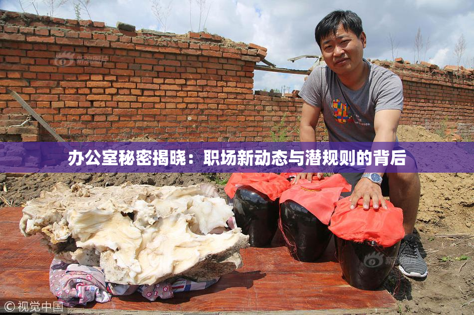 办公室秘密揭晓：职场新动态与潜规则的背后