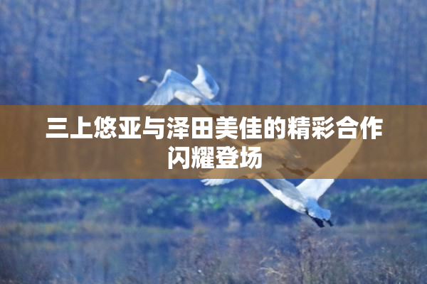 三上悠亚与泽田美佳的精彩合作闪耀登场