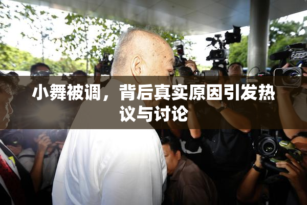 小舞被调，背后真实原因引发热议与讨论