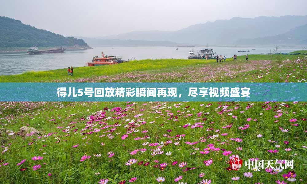 得儿5号回放精彩瞬间再现，尽享视频盛宴