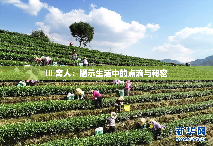 妺妺窝人：揭示生活中的点滴与秘密