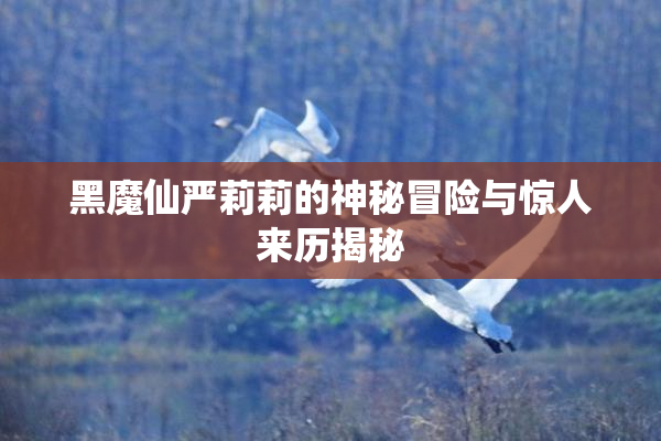 黑魔仙严莉莉的神秘冒险与惊人来历揭秘