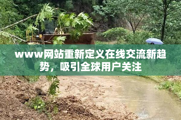 www网站重新定义在线交流新趋势，吸引全球用户关注