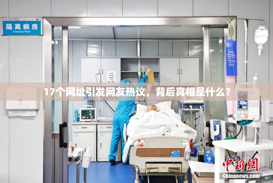 17个网址引发网友热议，背后真相是什么？