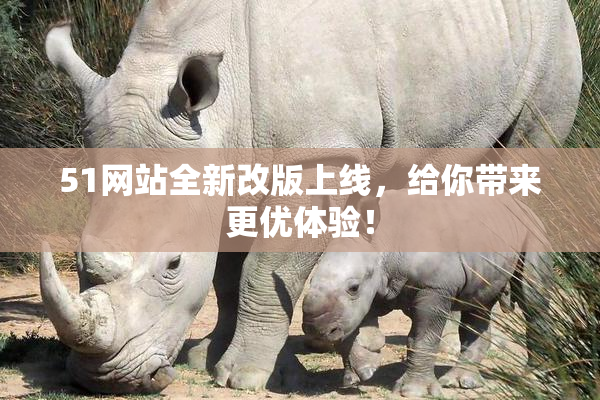 51网站全新改版上线，给你带来更优体验！