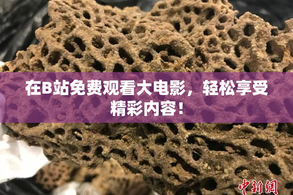 在B站免费观看大电影，轻松享受精彩内容！