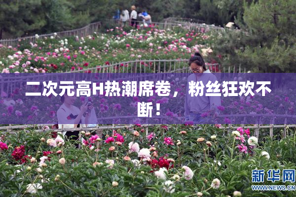 二次元高H热潮席卷，粉丝狂欢不断！