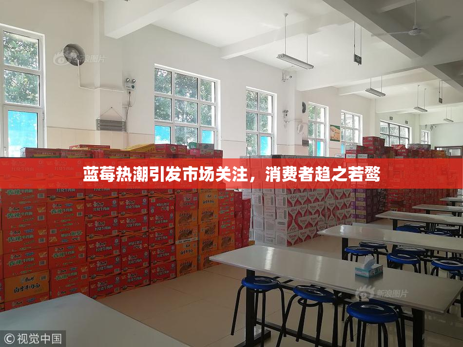 蓝莓热潮引发市场关注，消费者趋之若鹜