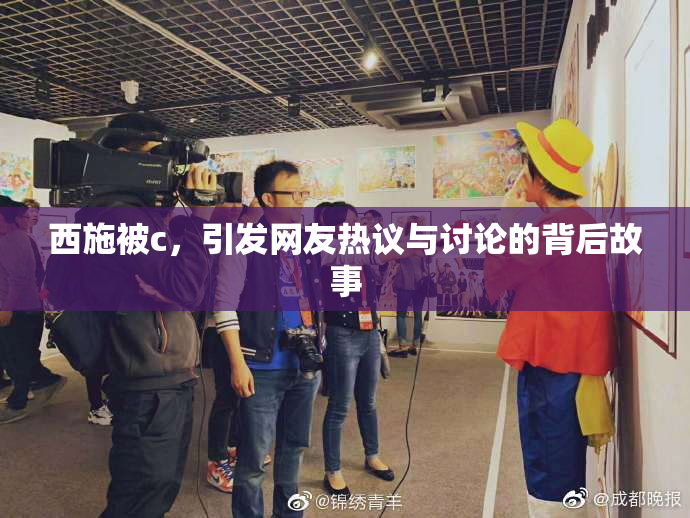 西施被c，引发网友热议与讨论的背后故事