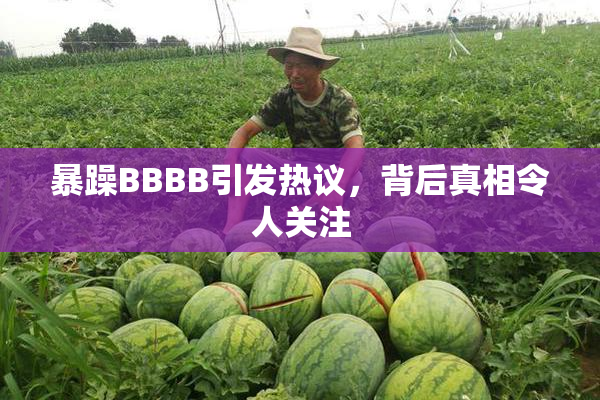 暴躁BBBB引发热议，背后真相令人关注