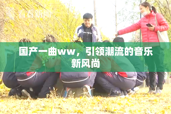 国产一曲ww，引领潮流的音乐新风尚