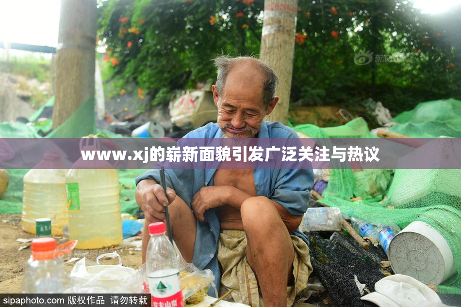 www.xj的崭新面貌引发广泛关注与热议