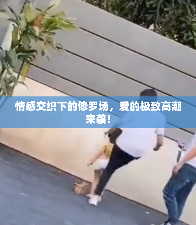 情感交织下的修罗场，爱的极致高潮来袭！
