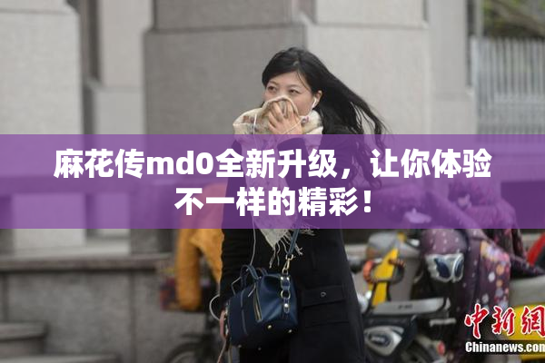 麻花传md0全新升级，让你体验不一样的精彩！