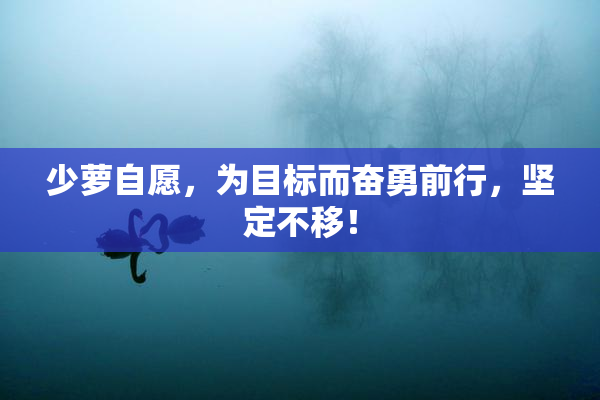 少萝自愿，为目标而奋勇前行，坚定不移！