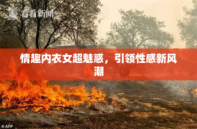 情趣内衣女超魅惑，引领性感新风潮
