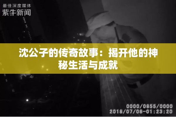 沈公子的传奇故事：揭开他的神秘生活与成就