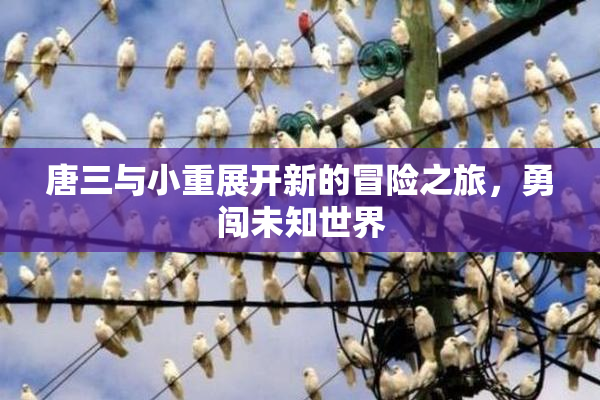 唐三与小重展开新的冒险之旅，勇闯未知世界