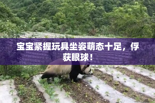 宝宝紧握玩具坐姿萌态十足，俘获眼球！