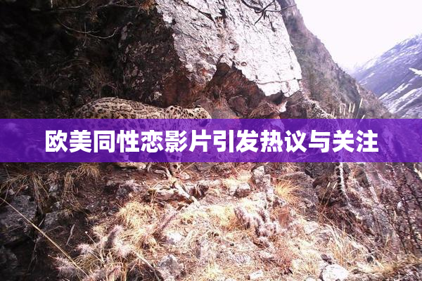 欧美同性恋影片引发热议与关注