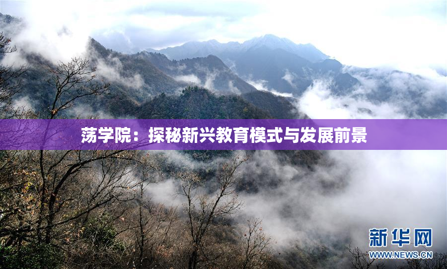 荡学院：探秘新兴教育模式与发展前景
